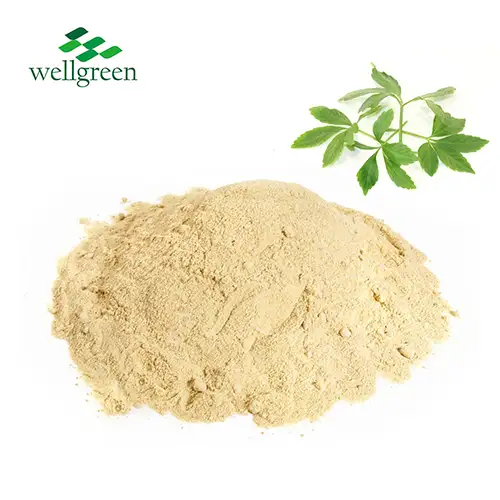 Gynostemma Pentaphyllum Extract